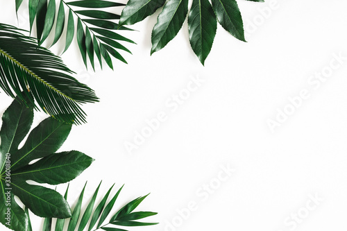 Fototapeta Naklejka Na Ścianę i Meble -  Summer composition. Tropical leaves on white background. Summer concept. Flat lay, top view, copy space