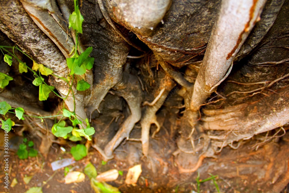 Fototapeta premium Angle from UP