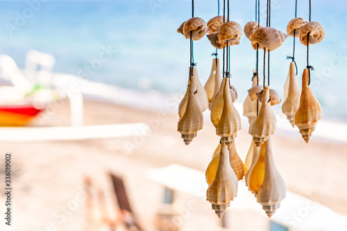 Photography Wall decor made of shells