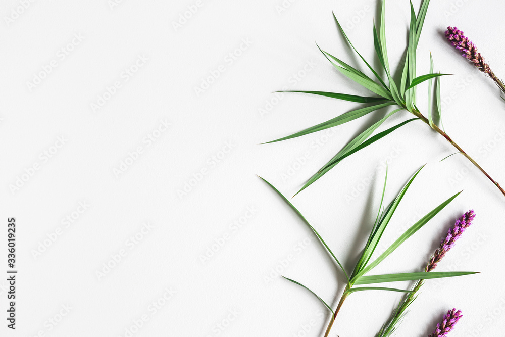 Summer composition. Tropical flowers and leaves on white background. Summer concept. Flat lay, top view, copy space Summer composition. Tropical flowers and leaves on white background. Summer concept. Flat lay, top view, copy space