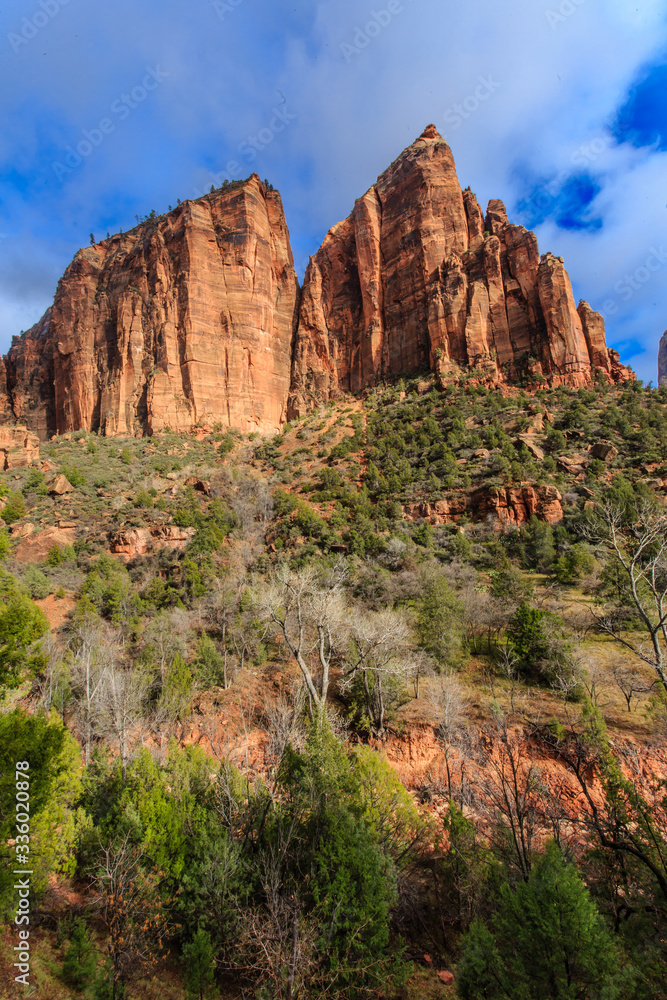 Majestic Mountains of Zion National Park