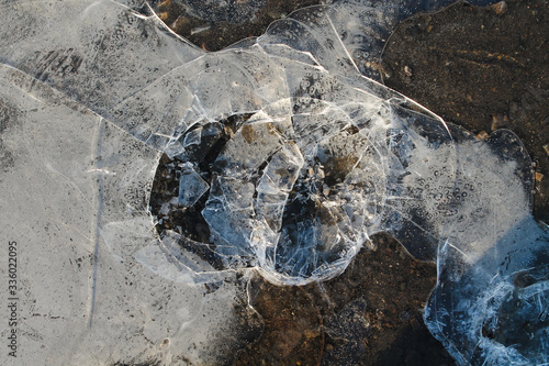 The first thin and transparent crust of ice on a puddle. The first ice is broken. Morning ice crust broken.