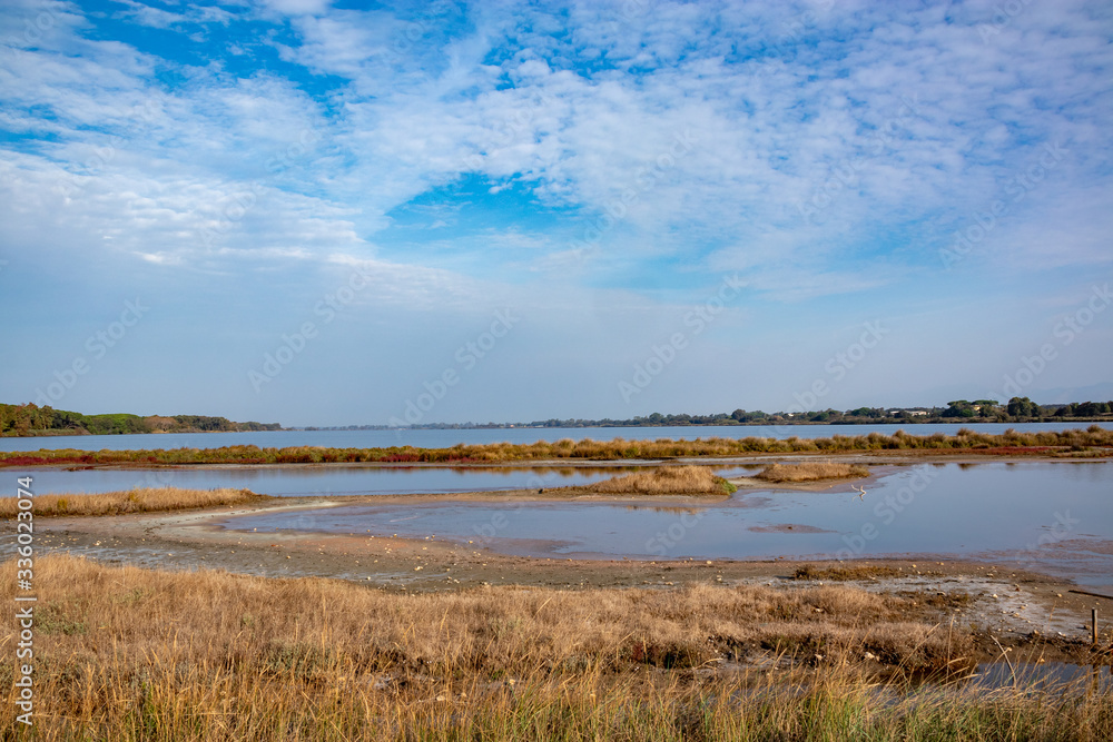 swamp in the Circeo national park. Latina, Lazio, Italy.