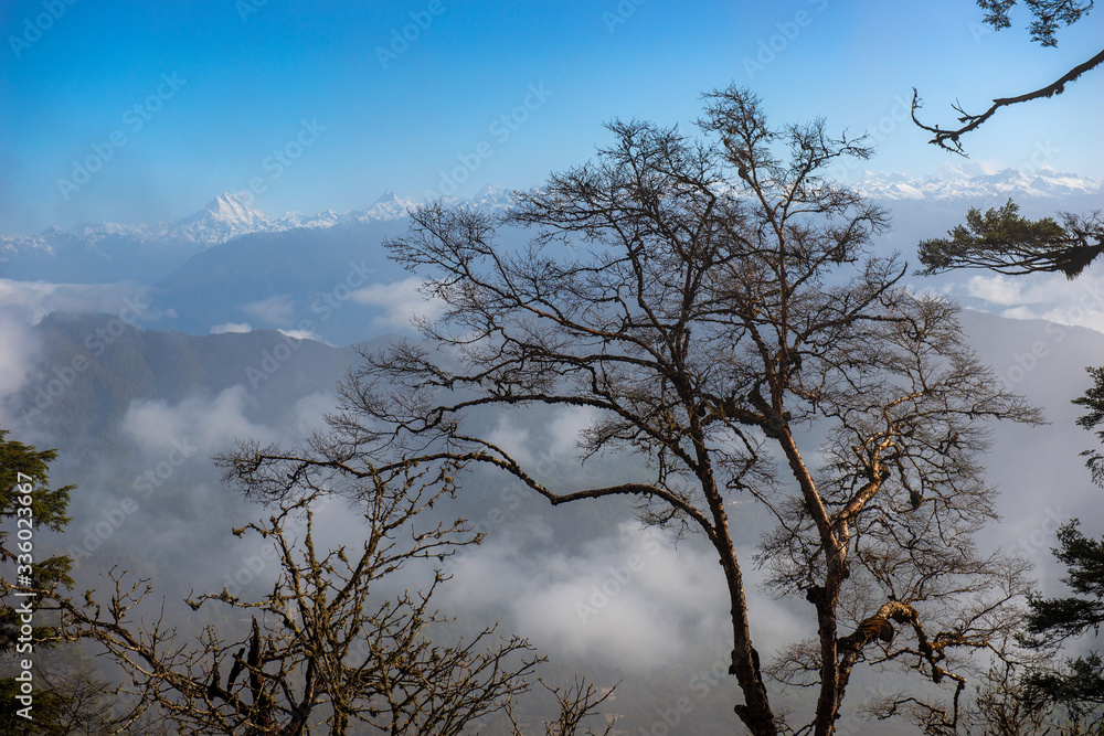 View from Dochula looking across forests to Himalayan peaks Bhutan View from Dochula looking across forests to Himalayan peaks Bhutan