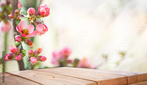 pink blooming flowers with empty tabletop  on a blurry pink background. Empty place for sale.