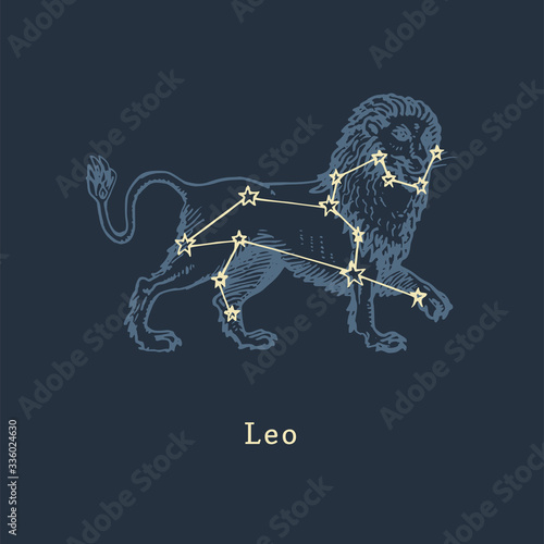 Zodiac constellation of Leo in engraving style. Vector retro graphic illustration of astrological sign Lion.