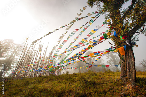 Prayer flags at Dochula, Bhutan photo
