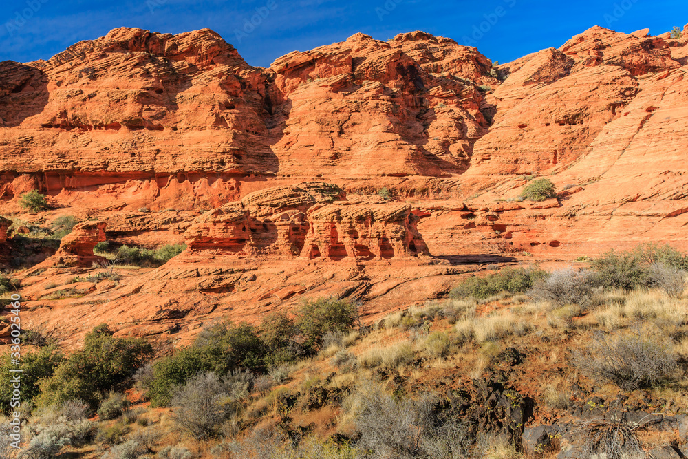 Fototapeta premium Snow Canyon State Park