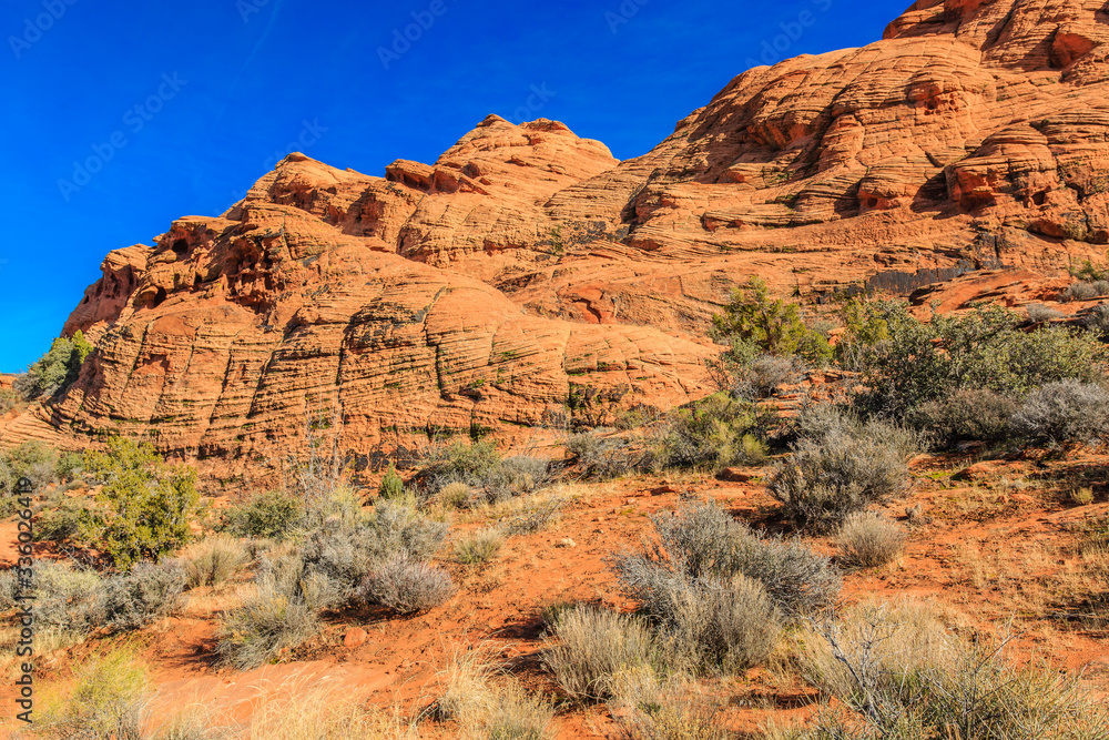 Fototapeta premium Snow Canyon State Park