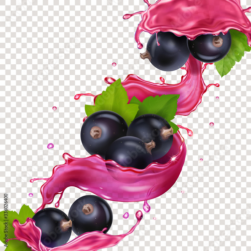 Black currant berry in juice splash vector illustration