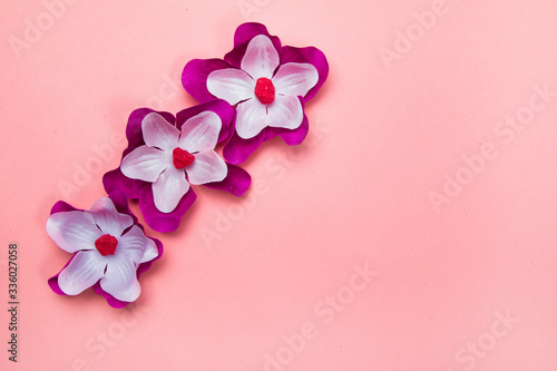 Purple and white flowers on a pastel nude background  © Main