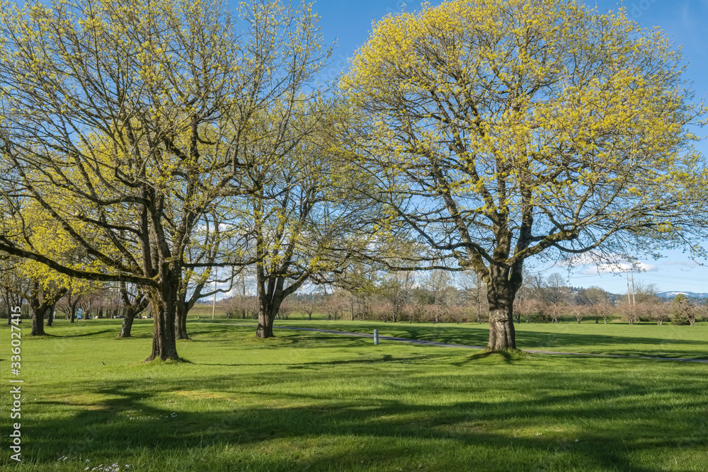 Public park landscape in Fairview Oregon. Public park landscape in Fairview Oregon.