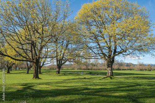 Public park landscape in Fairview Oregon.