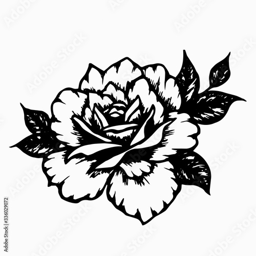 Rose with leaves. Hand drawn black ink beautiful graphic flower for decoration of frames, tattoo, cards, posters, social media template. Stock vector illustration isolated on transparent background.