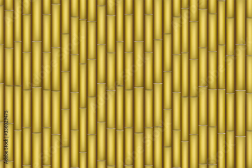 Yellow Bamboo texture. Bamboo plants tightly lined up. Vector Illustration
