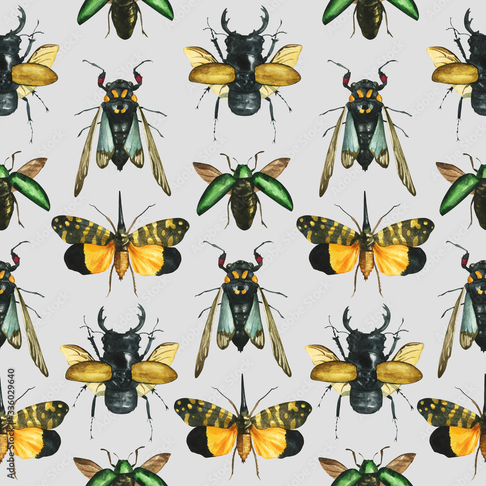 Seamless pattern of watercolor drawn tropical exotic beetles and butterflies (odontolabis, Tosena, Sternocera) background entomological realistic drawing. For the design of textile, print. unusual Seamless pattern of watercolor drawn tropical exotic beetles and butterflies (odontolabis, Tosena, Sternocera) background entomological realistic drawing. For the design of textile, print. unusual