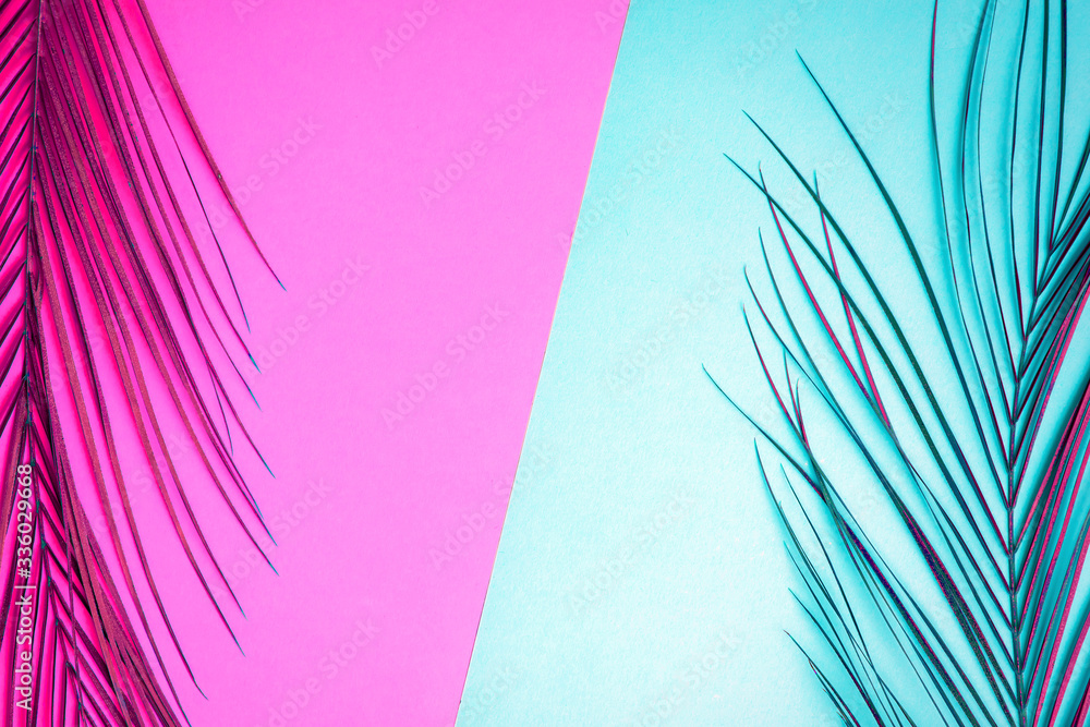 Fototapeta Tropical palm leaf on color background