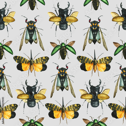 Seamless pattern of watercolor drawn tropical exotic beetles and butterflies (odontolabis, Tosena, Sternocera) background entomological realistic drawing. For the design of textile, print. unusual