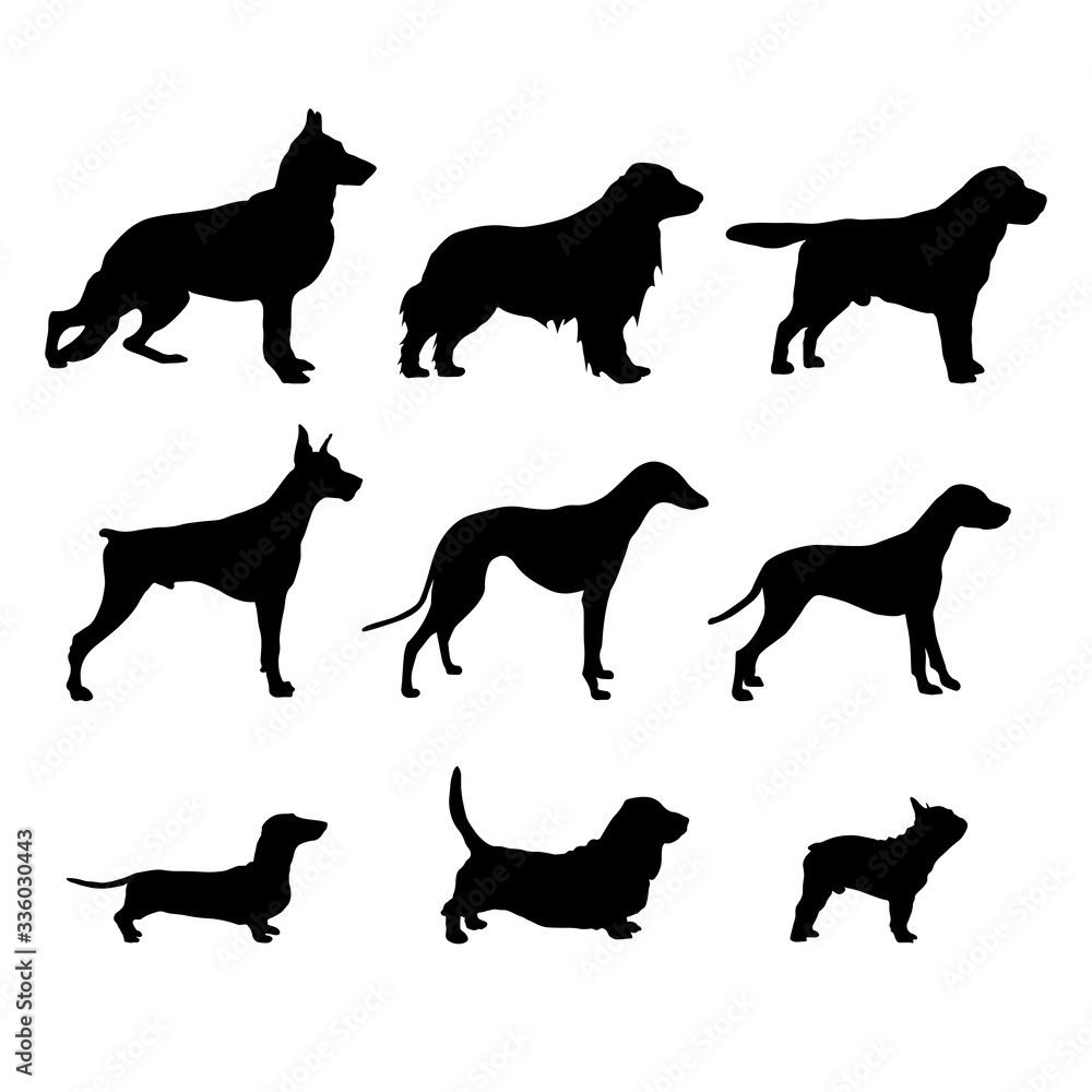 Set Black Dog Silhouettes are standing. Vector