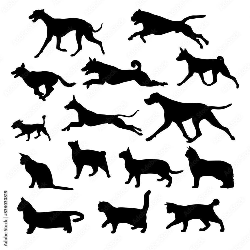 Set Black Dog and cat. Vector illustration