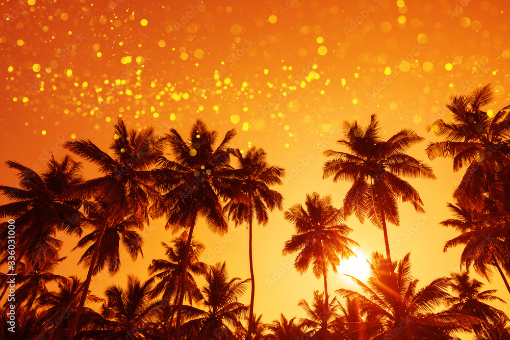 Coconut palm trees at sunset with magic shiny party lights overlay