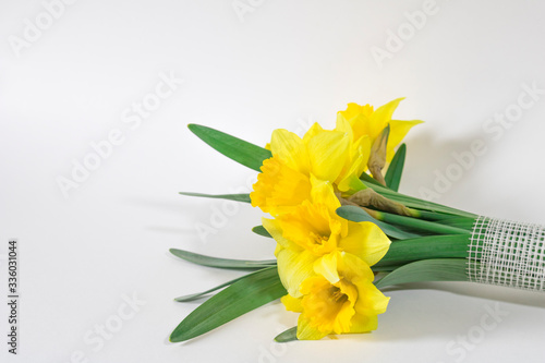 A bouquet of yellow daffodil flowers on a white background