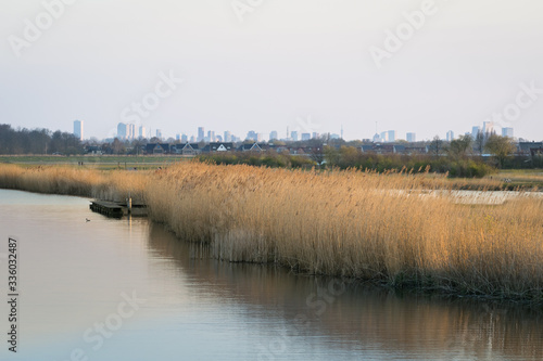 Lake shore of Lake Rottemeren, Netherlands with the skyline of the city of Rotterdam in the background