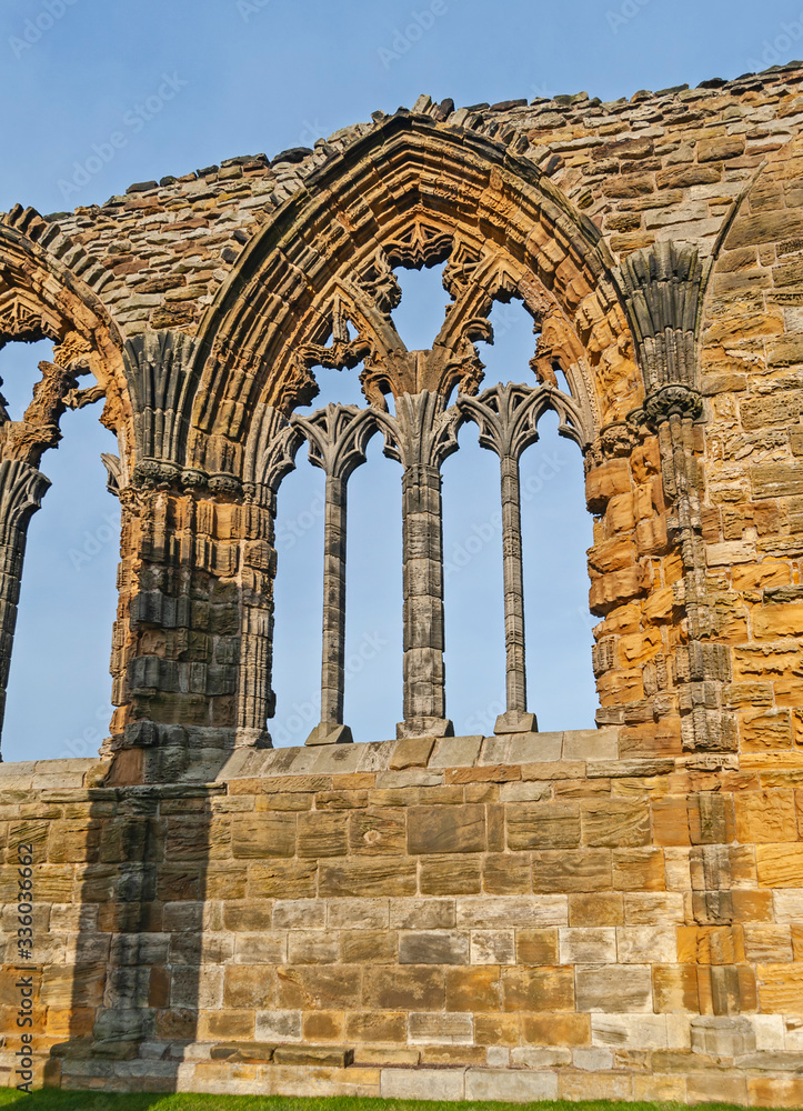 Closeup detail of window in ancient gothic abbey ruins