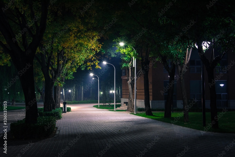 Obraz premium park at night