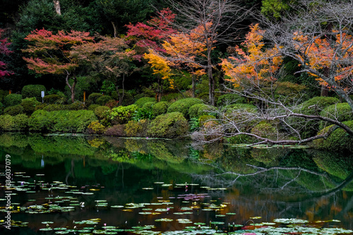 Fototapeta Naklejka Na Ścianę i Meble -  Japanese garden in autumn 