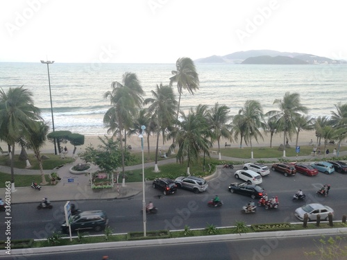Palm Tree Beach View