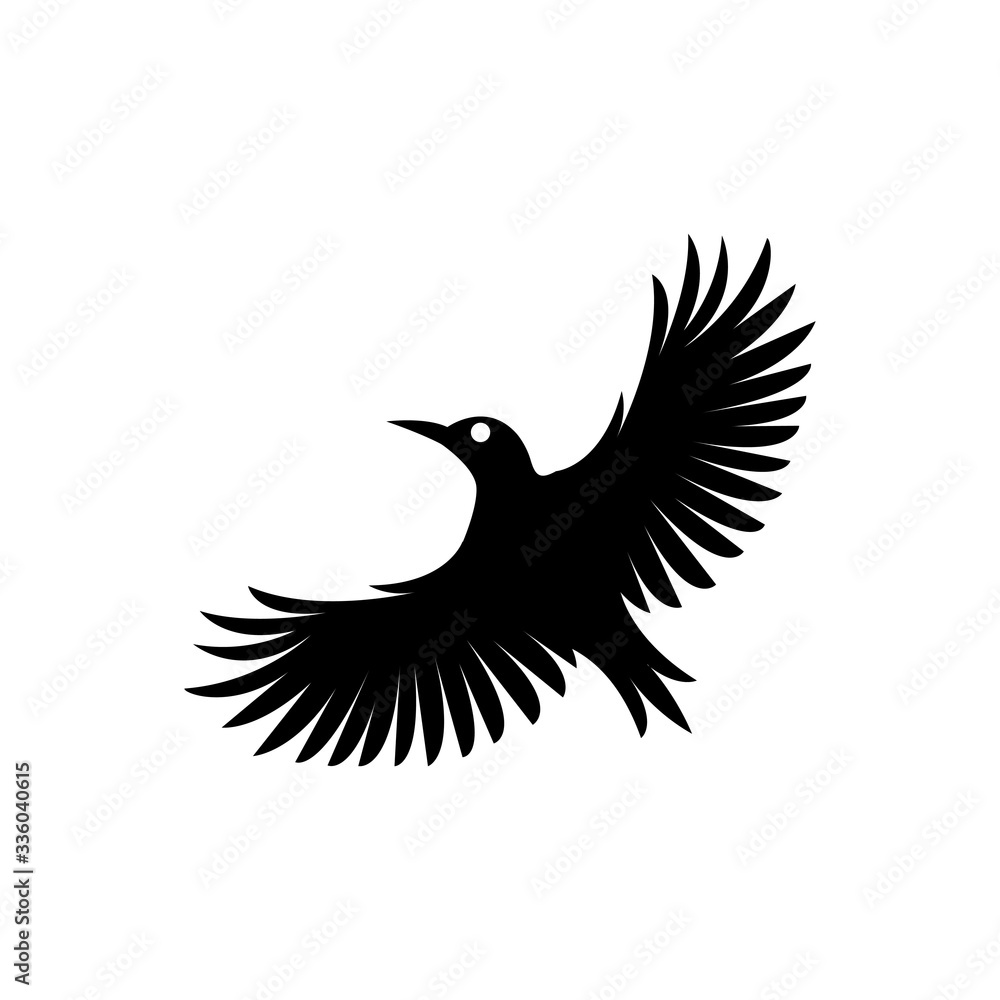 Obraz premium black bird logo design template vector