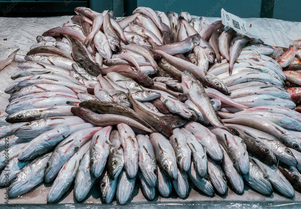 Fototapeta premium Freshly caught fish at the fish market in Cadiz, Andalucia, Spain