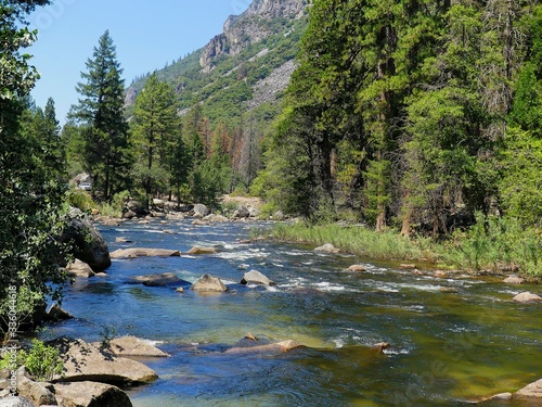 River in Yosemite