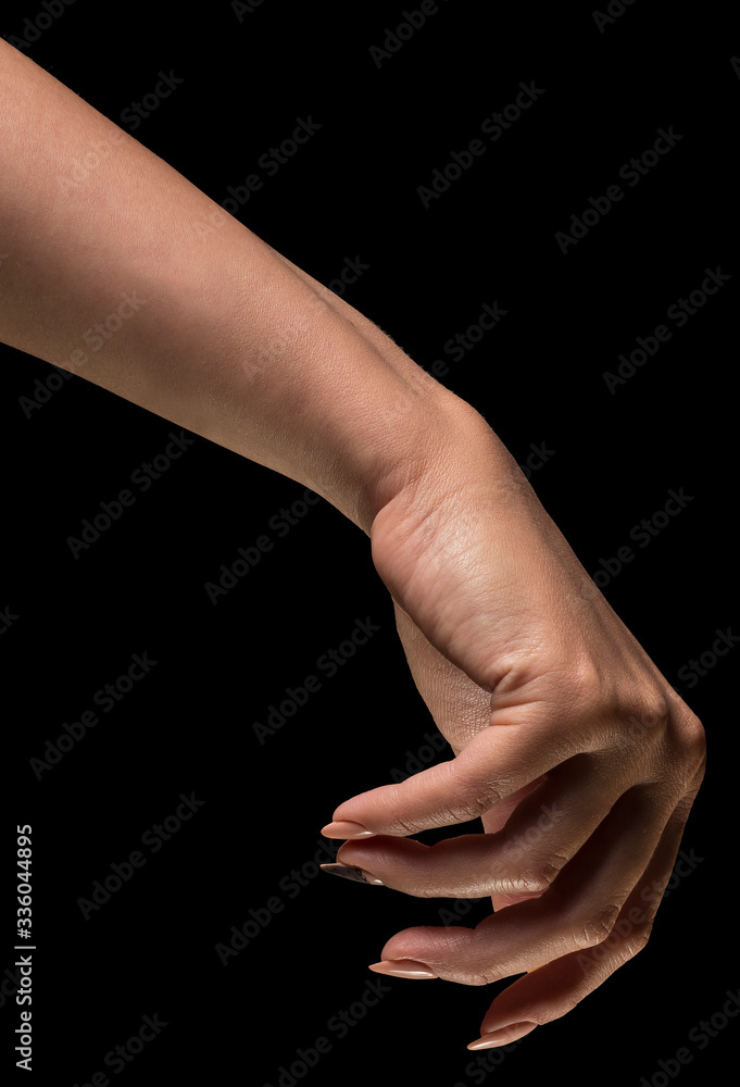 Fototapeta premium Hand