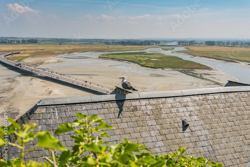 Mont Saint Michel in France between Bretagne and Normandy, a former medieval rock abbey with vegetation and moss on the rocks, roofs of buildings, views of the entrance road and the mouth . photo