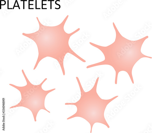 Set of Platelet cells. Thrombocytes. Vector illustration