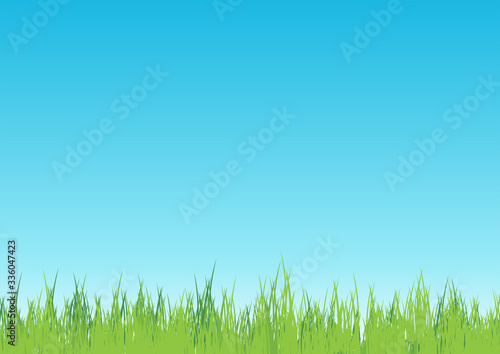 Blades of grass with sky background