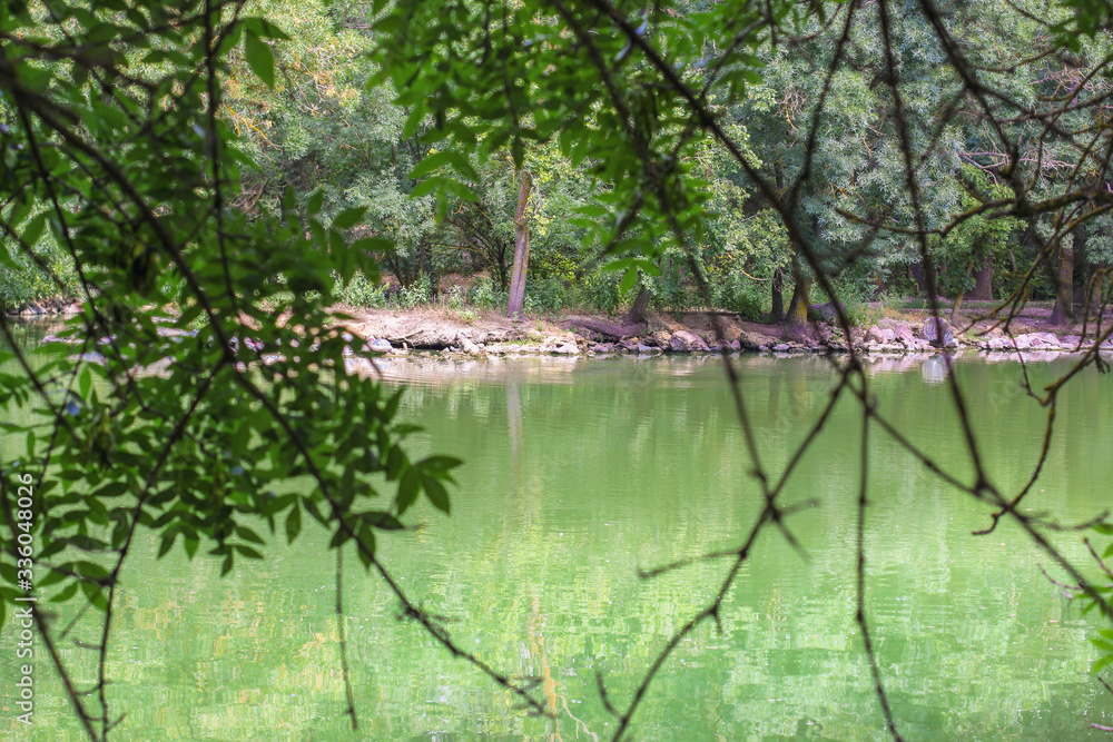 A view through the tree branches on Green Lake. The alga give the lake its turquoise color. Dense forest around the lake. wonderful image for background