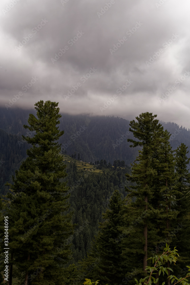 Clouds over the mountains with trees in the foreground