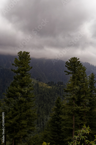 Clouds over the mountains with trees in the foreground