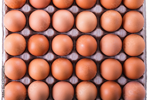 Fresh eggs in box, closeup on white background