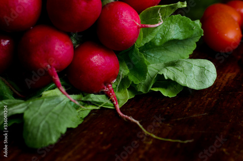 Fresh radish with green tops on a dark wooden background, drops of water on vegetables, space for text, close-up