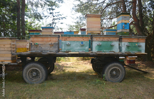 Beehives transportation in a trailer by a tractor to a new place in the forest for honey. © bildlove