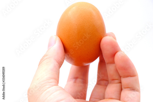 chicken egg isolated on white background
