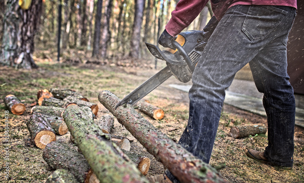 man cuts a tree into pieces at a forest man cuts a tree into pieces at a forest
