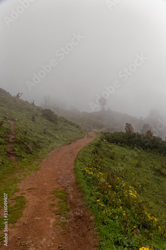 Road to the foggy mountain