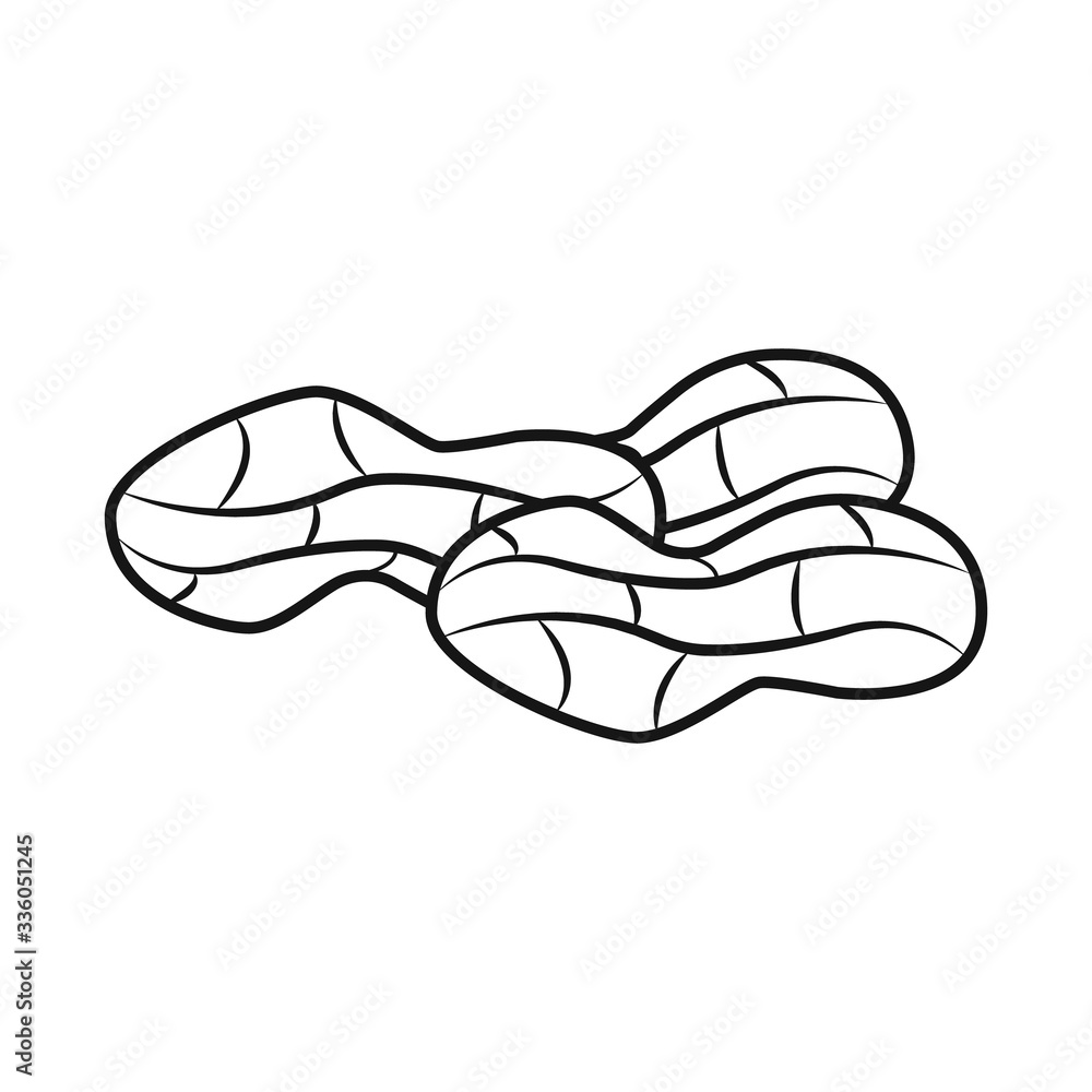 Isolated object of peanut and shell sign. Collection of peanut and pod vector icon for stock. Isolated object of peanut and shell sign. Collection of peanut and pod vector icon for stock.