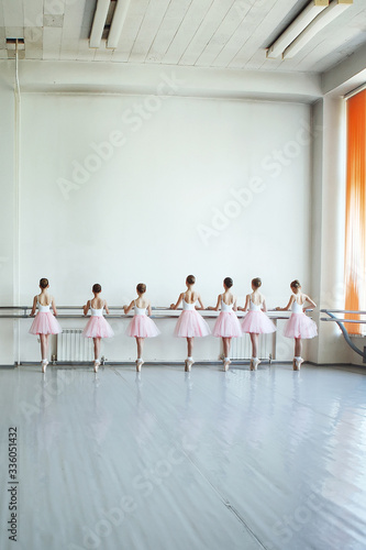 Fototapeta Naklejka Na Ścianę i Meble -  Legs dancers on pointe, near the choreographic barre.