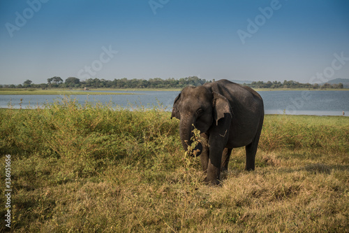 Lo Sri Lanka e le mille sfumature dei suoi colori